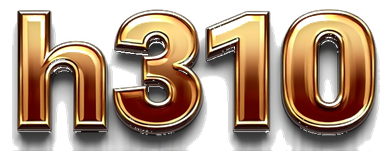 h310 logo